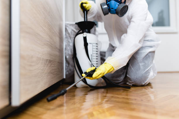 Best Termite Control Services  in Miami Beach, FL