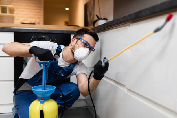 Best Flea Control Services  in Miami Beach, FL