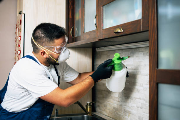 Pest Prevention Services in Miami Beach, FL