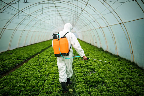 Best Pest Removal Services  in Miami Beach, FL