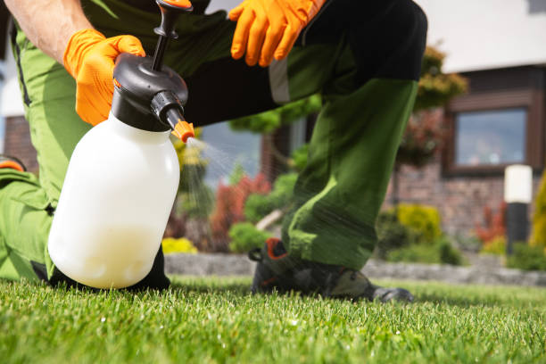 Best Pest Prevention Services  in Miami Beach, FL