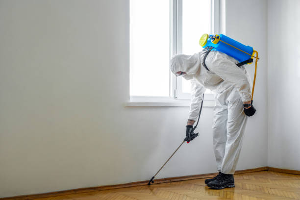 Best Commercial Pest Control Services  in Miami Beach, FL